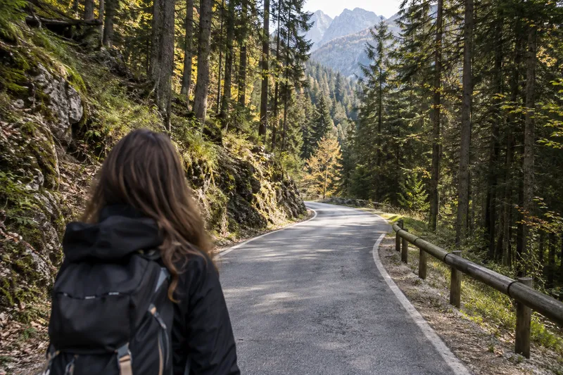 Carretera asfaltada estrecha con curvas cerradas atravesando un espeso bosque de montaña en Val di Sella.