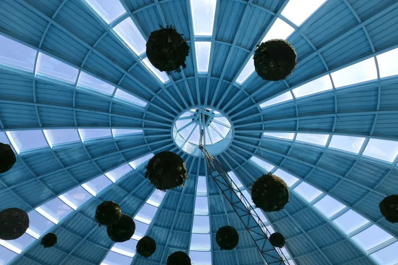 Interior abovedado con apertura cenital iluminado por luz tenue de color en la instalación Skyspace.