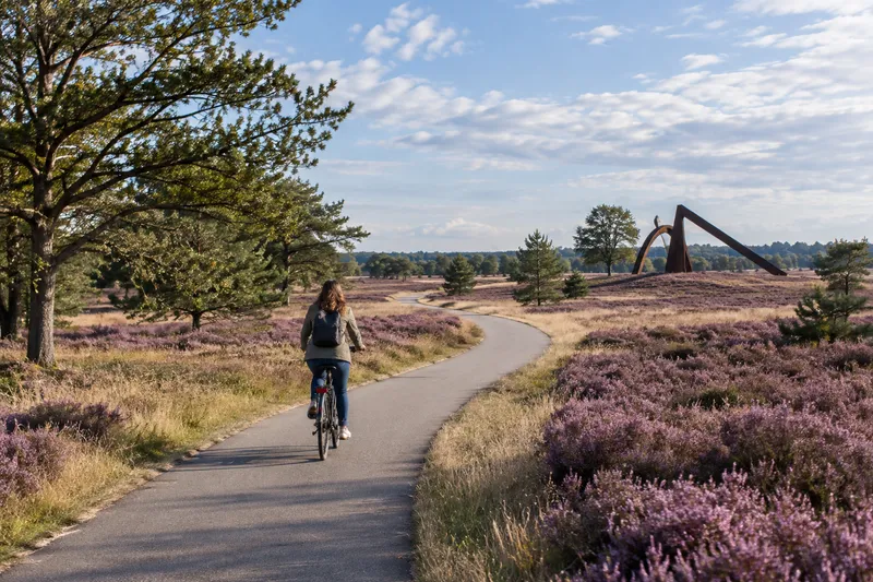 Sendero pavimentado para bicicletas entre brezales y dunas en De Hoge Veluwe.