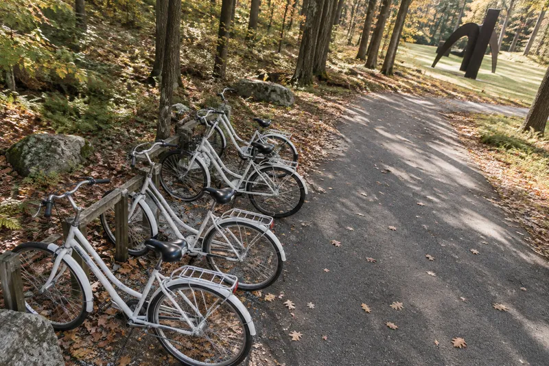 Fila de bicicletas blancas de uso compartido junto a un sendero arbolado en De Hoge Veluwe.