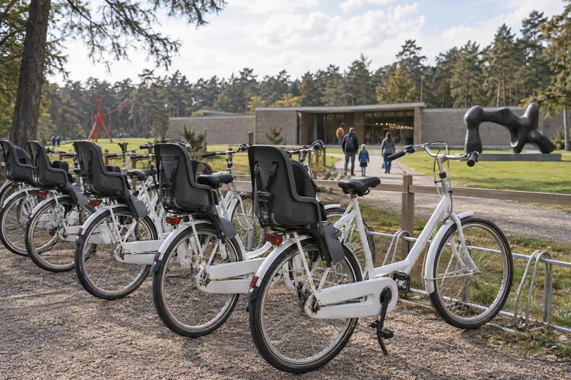 Hilera de bicicletas blancas con asientos infantiles traseros junto a un camino forestal.