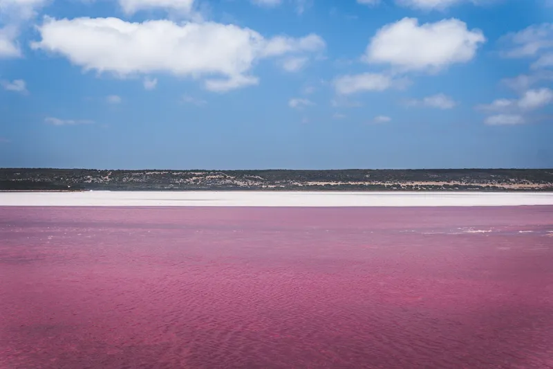 Agua de color rosa intenso junto a formaciones blancas de sal en la orilla del lago.